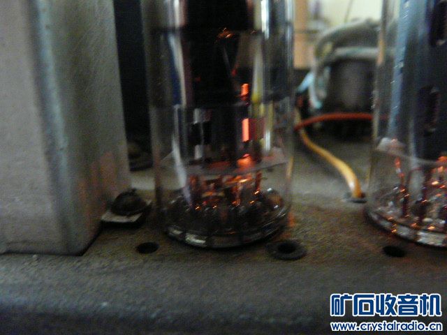 P1030503.JPG