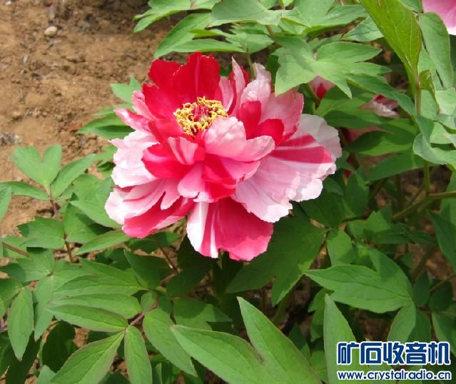 210134ofelgyn6jy0qlb67.jpg