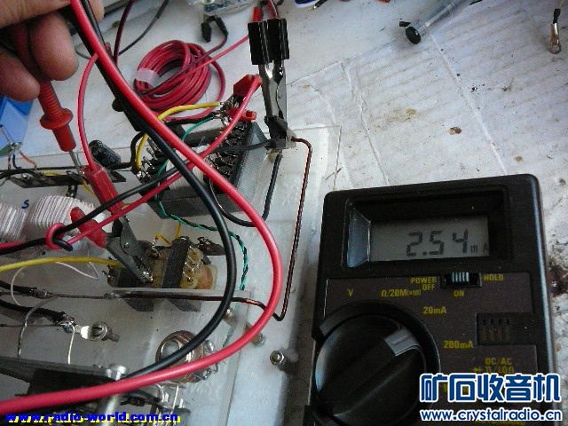 P1160817.JPG