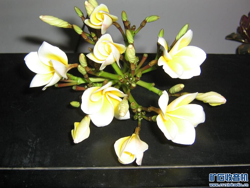  Ƭ 006.jpg