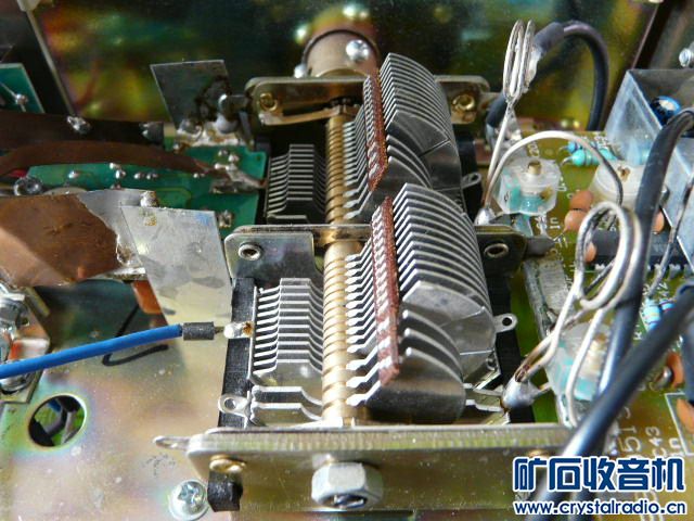 P1030629.JPG