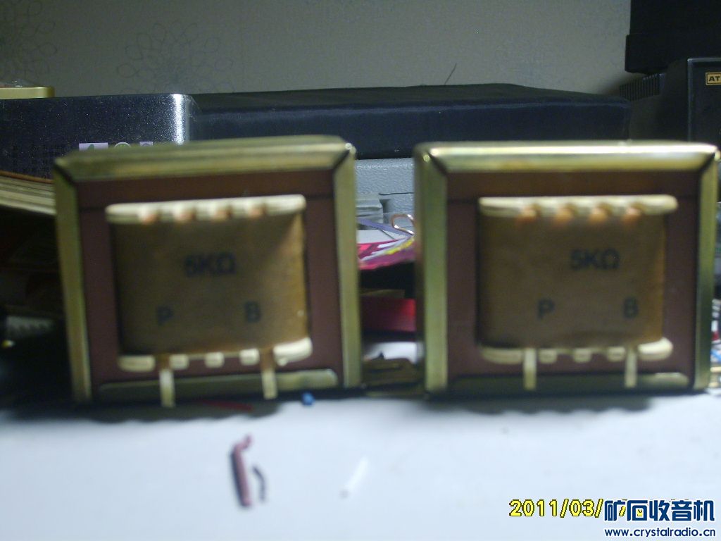 S6000029.JPG