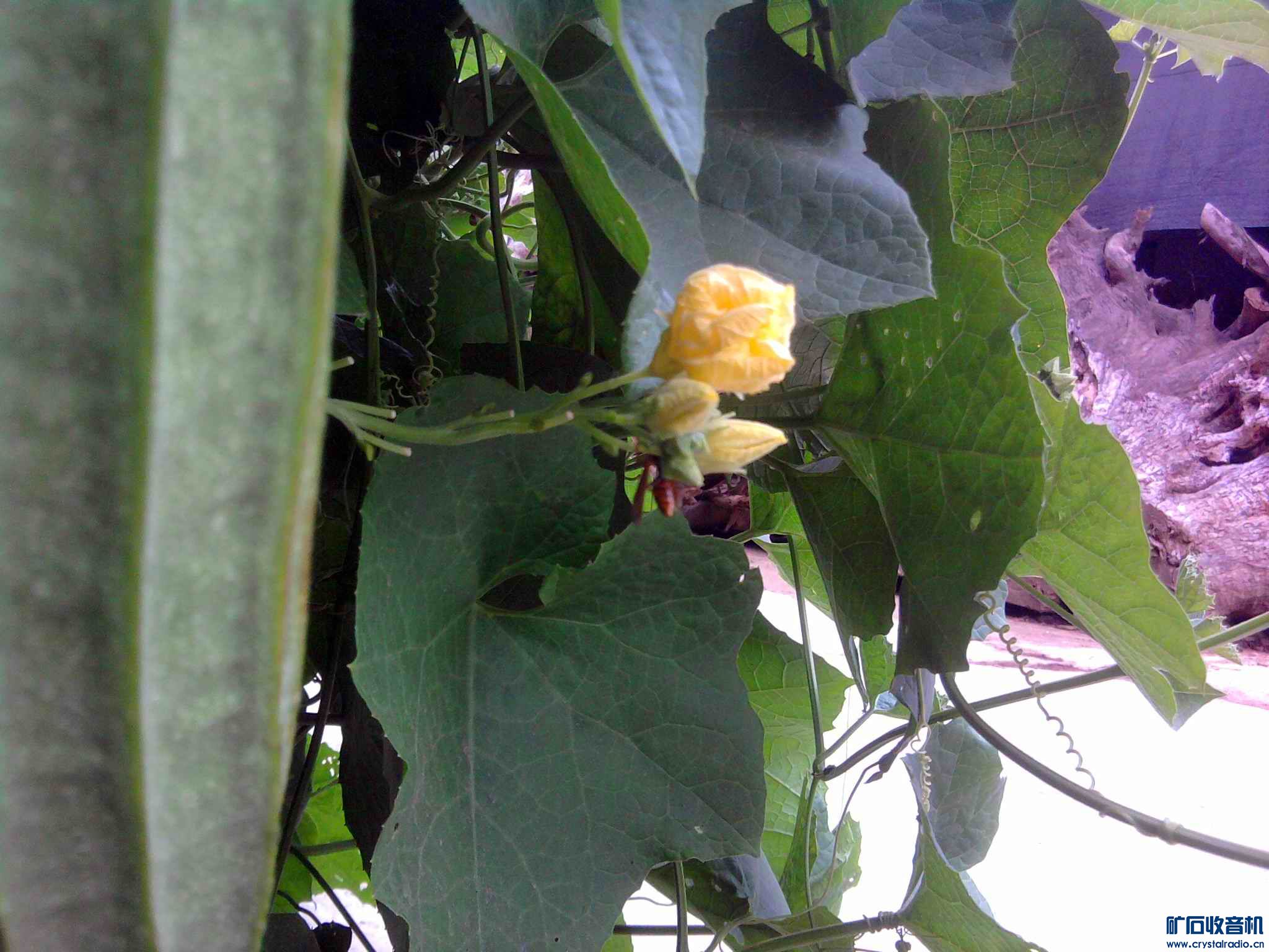 Ƭ0503.jpg