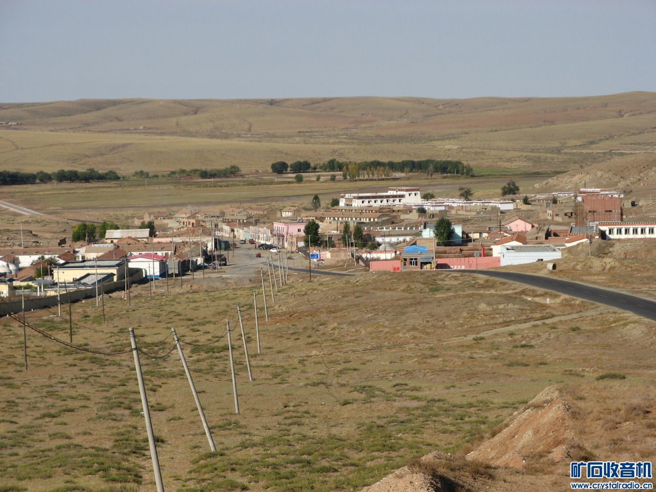 胡椒苏木_苏木山森林公园_苏木图片