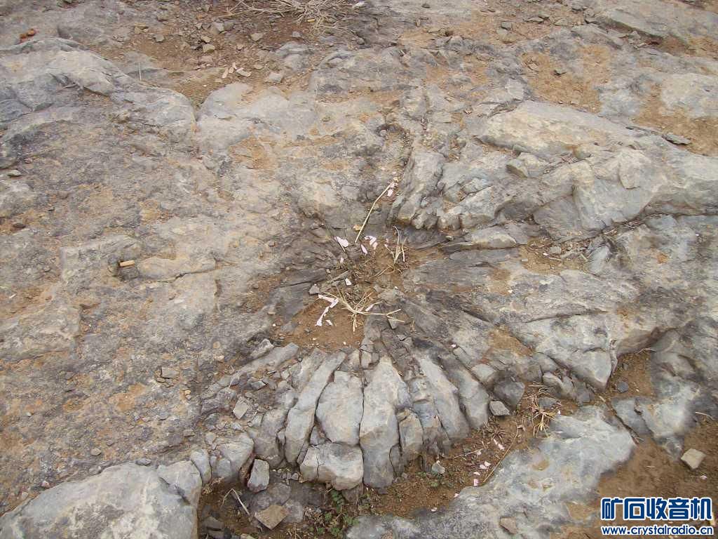 差点被天气预报忽悠,果断出行110KM游玩金乡