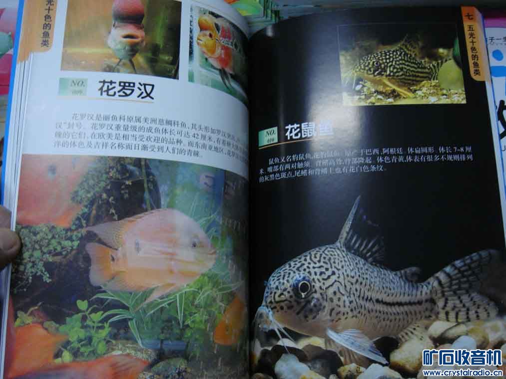 中国少儿百科全书--海洋生物 - 〓非电子交换区