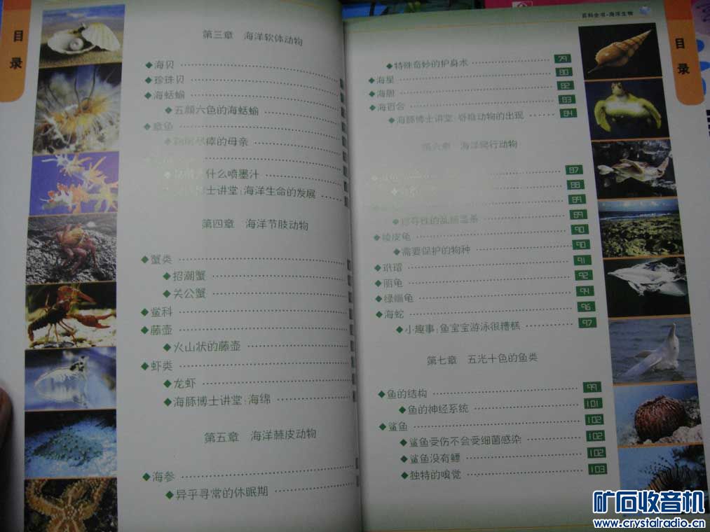 中国少儿百科全书--海洋生物 - 〓非电子交换区
