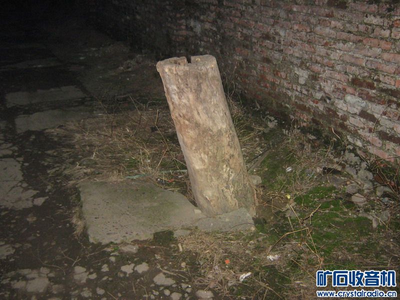 闲着没事晚上拿弹弓打老鼠 - 〓生活聊天板块〓