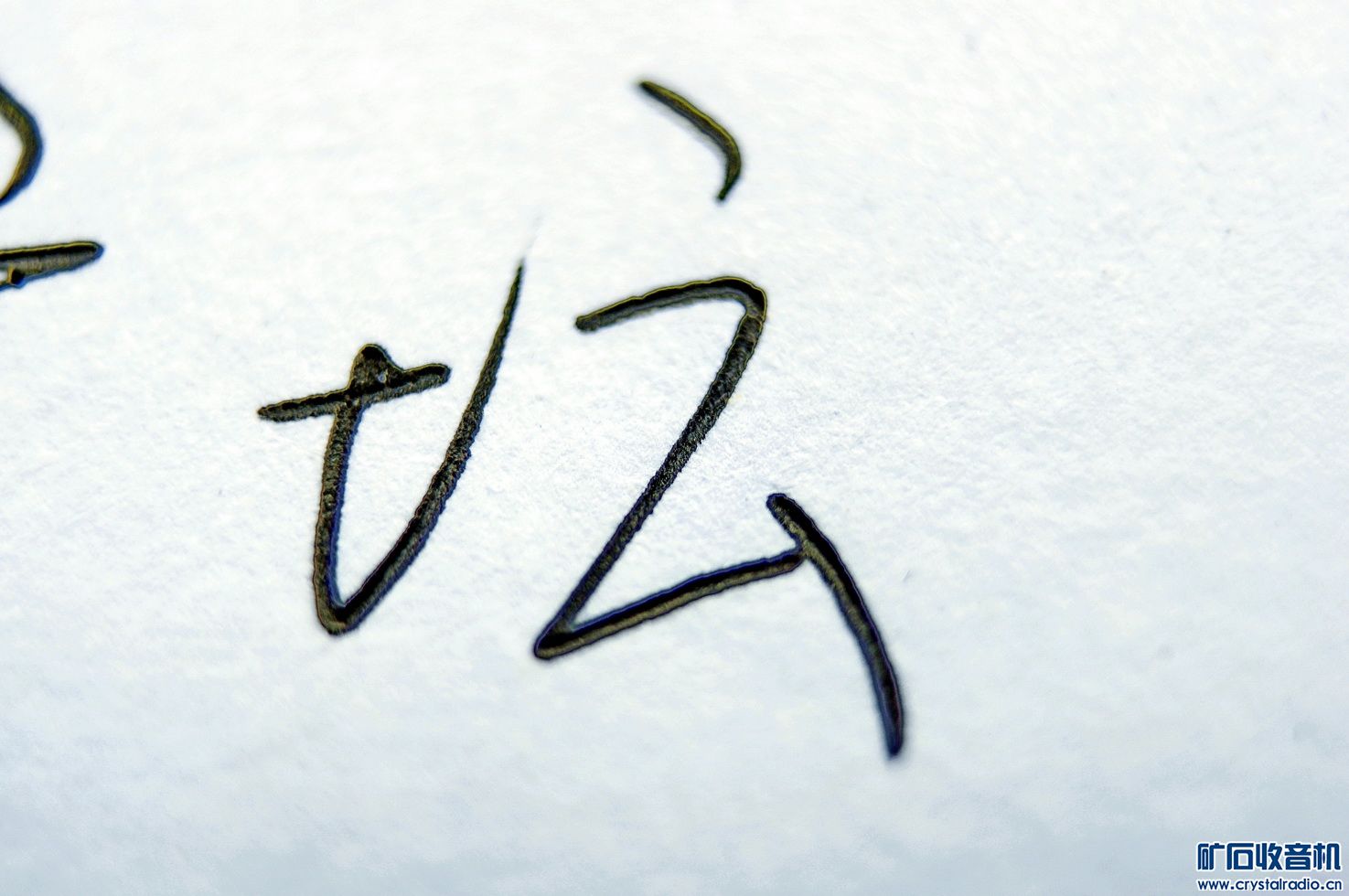 IMGP3375.jpg