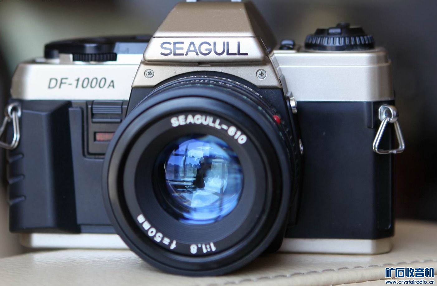 海鸥DF-1000A胶卷相机 - 〓非电子交换区〓 - 
