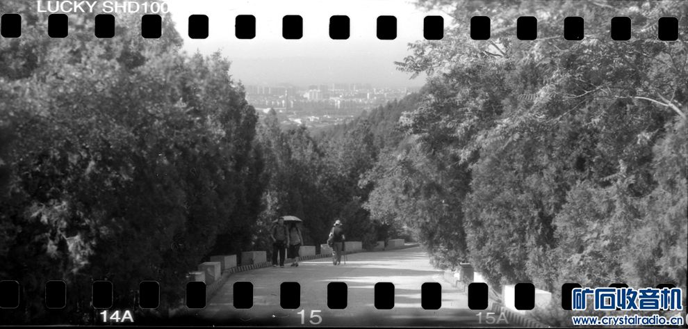 把135胶卷装到120相机中拍的照片 - 〓原创摄