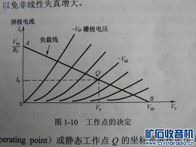 P1030691.JPG