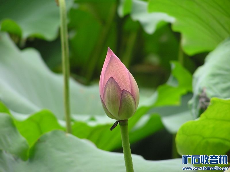 奥林巴斯 C-750 Ultra Zoom 送128卡 - 〓新人交