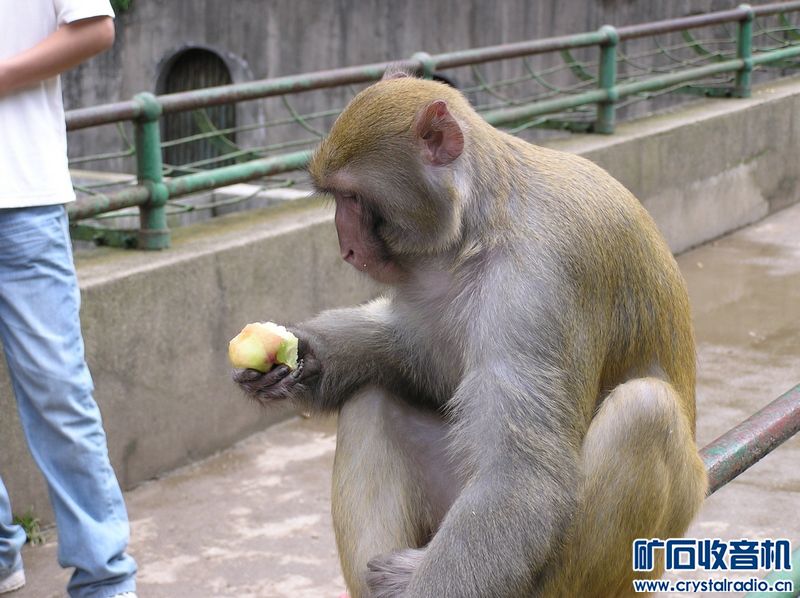 奥林巴斯 C-750 Ultra Zoom 送128卡 - 〓新人交