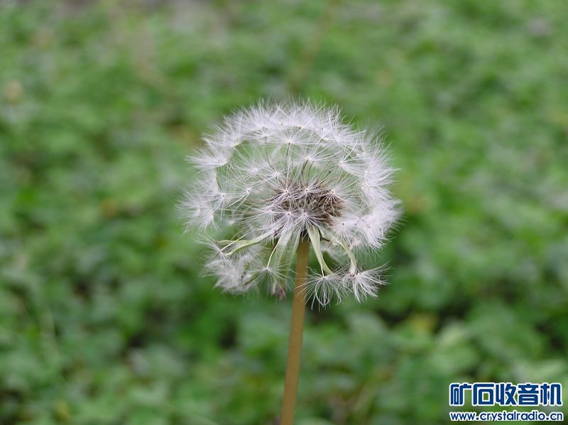 奥林巴斯 C-750 Ultra Zoom 送128卡 - 〓新人交