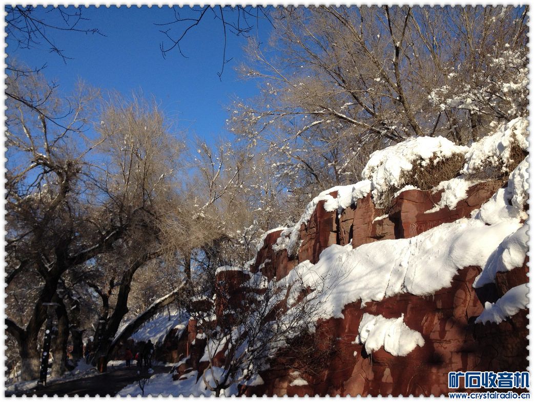 大家说说,在手机中拍照最好的要数哪一款? - 第
