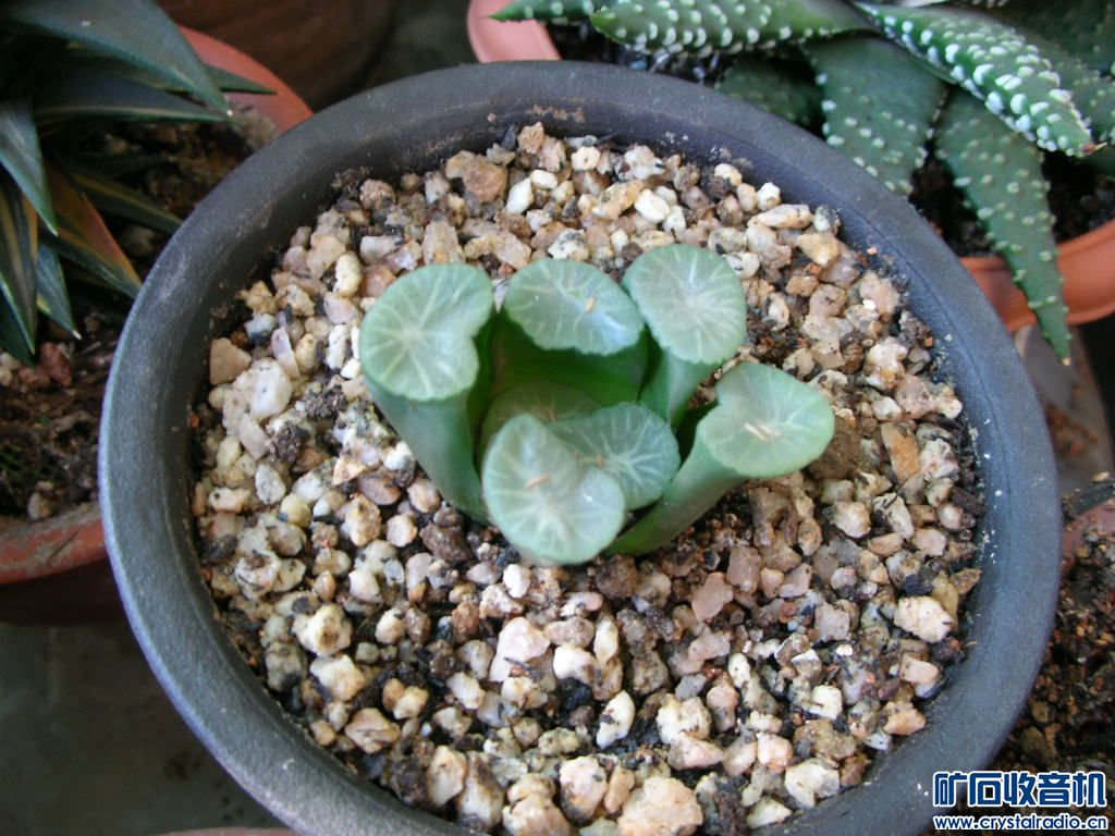 DSCN1067.JPG