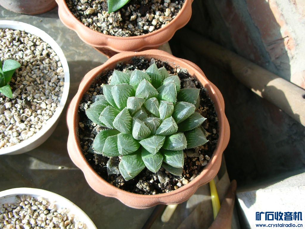DSCN1063.JPG