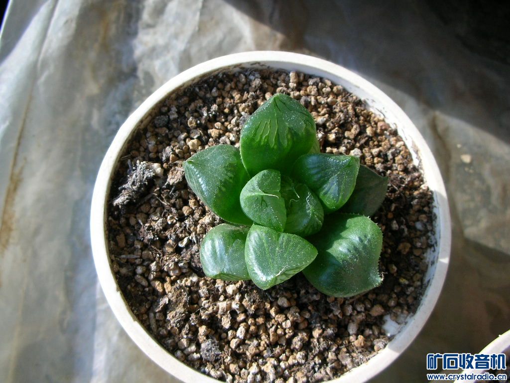 DSCN1064.JPG