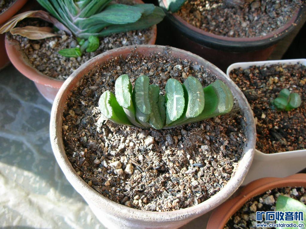 DSCN1065.JPG