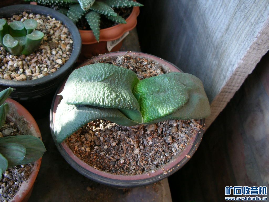 DSCN1066.JPG