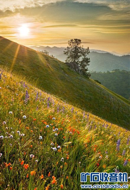 有小脚趾指甲分瓣的吗? - 〓生活聊天板块〓 - 