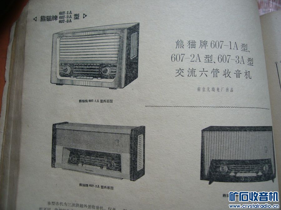 P1180184.JPG