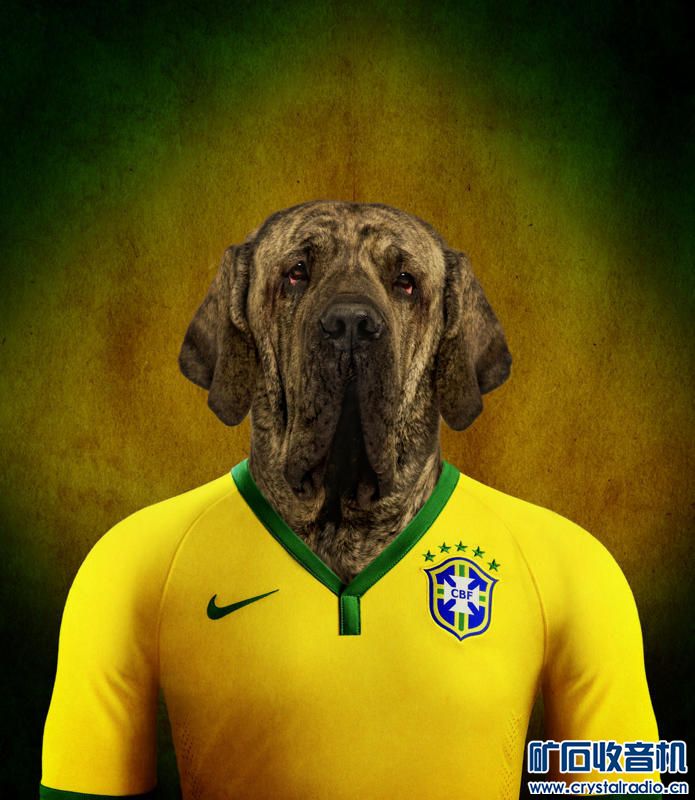 世界杯狗 - 〓生活聊天板块〓 - 矿石收音机论坛