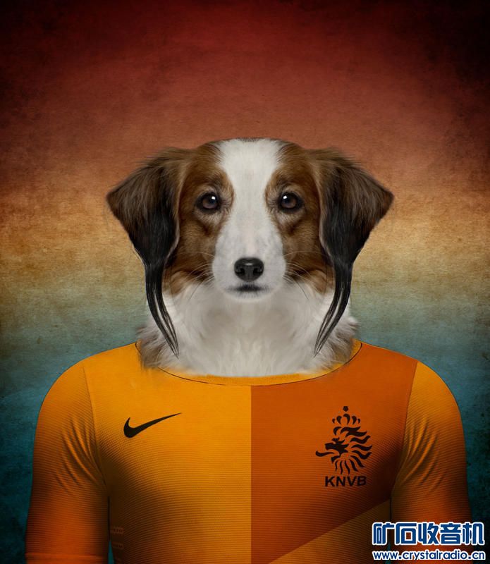 世界杯狗 - 〓生活聊天板块〓 - 矿石收音机论坛