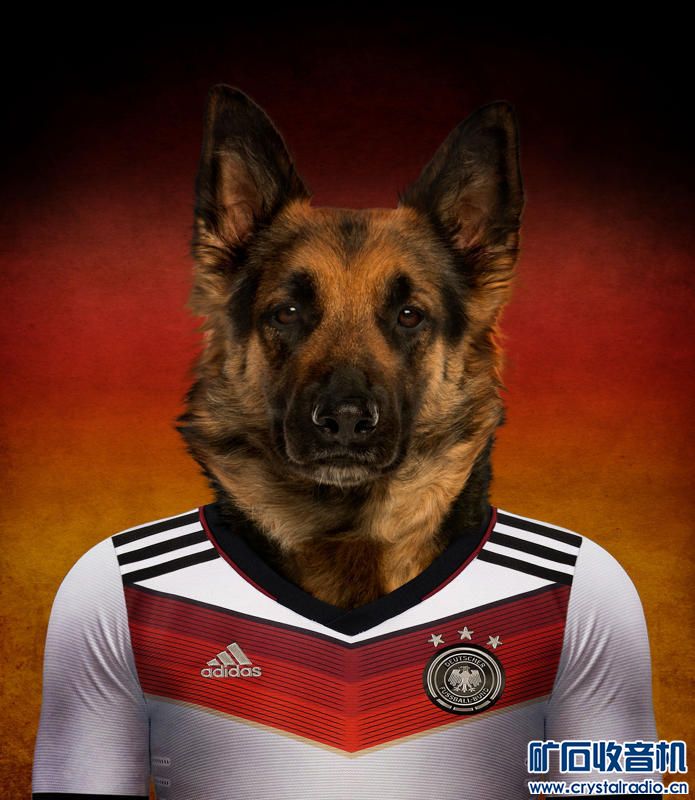 世界杯狗 - 〓生活聊天板块〓 - 矿石收音机论坛