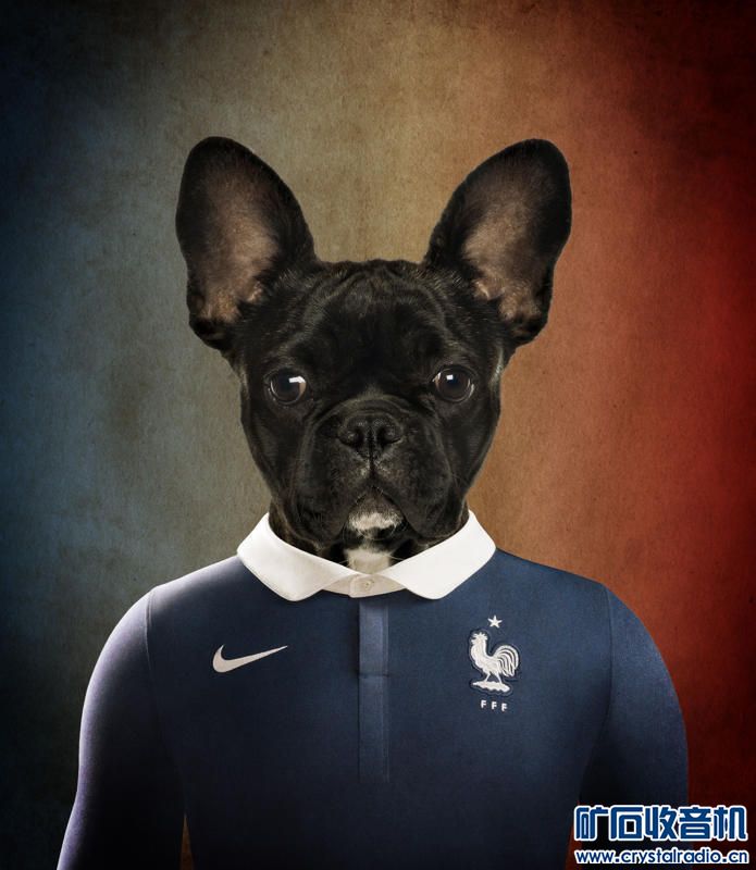 世界杯狗 - 〓生活聊天板块〓 - 矿石收音机论坛