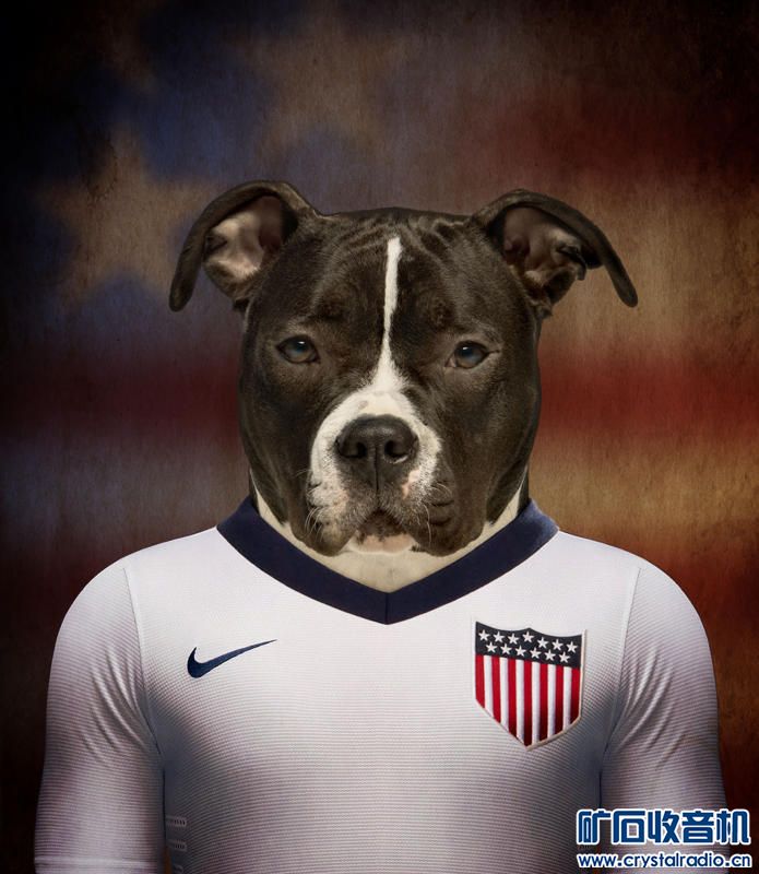 世界杯狗 - 〓生活聊天板块〓 - 矿石收音机论坛