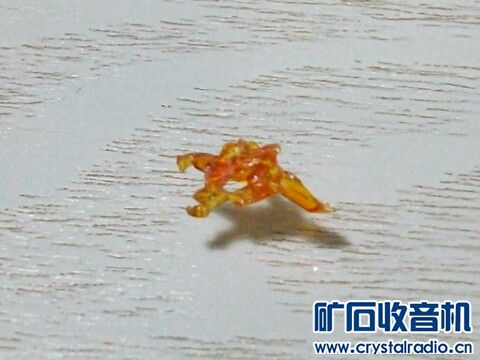 IMG20140321001331.jpg