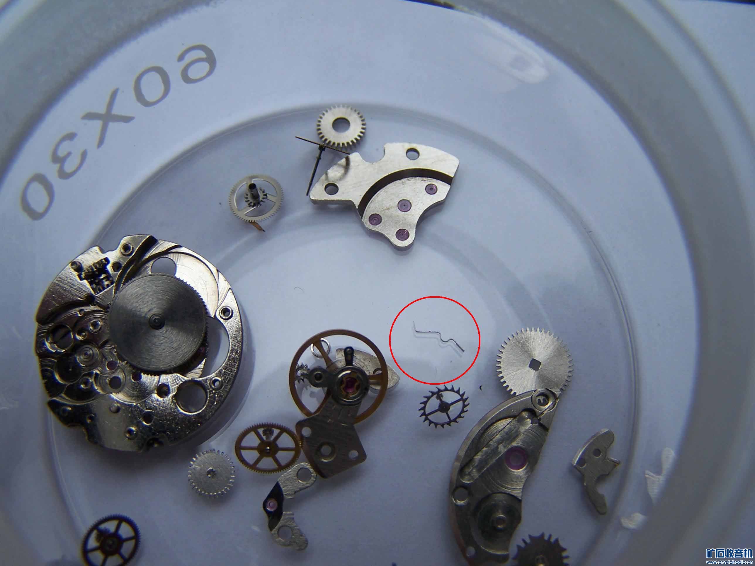 保养一块老双狮手表 - 矿石收音机论坛