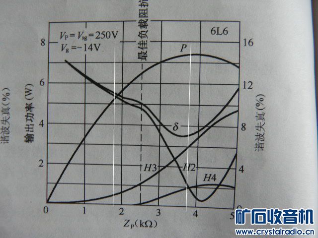 P1040629.JPG