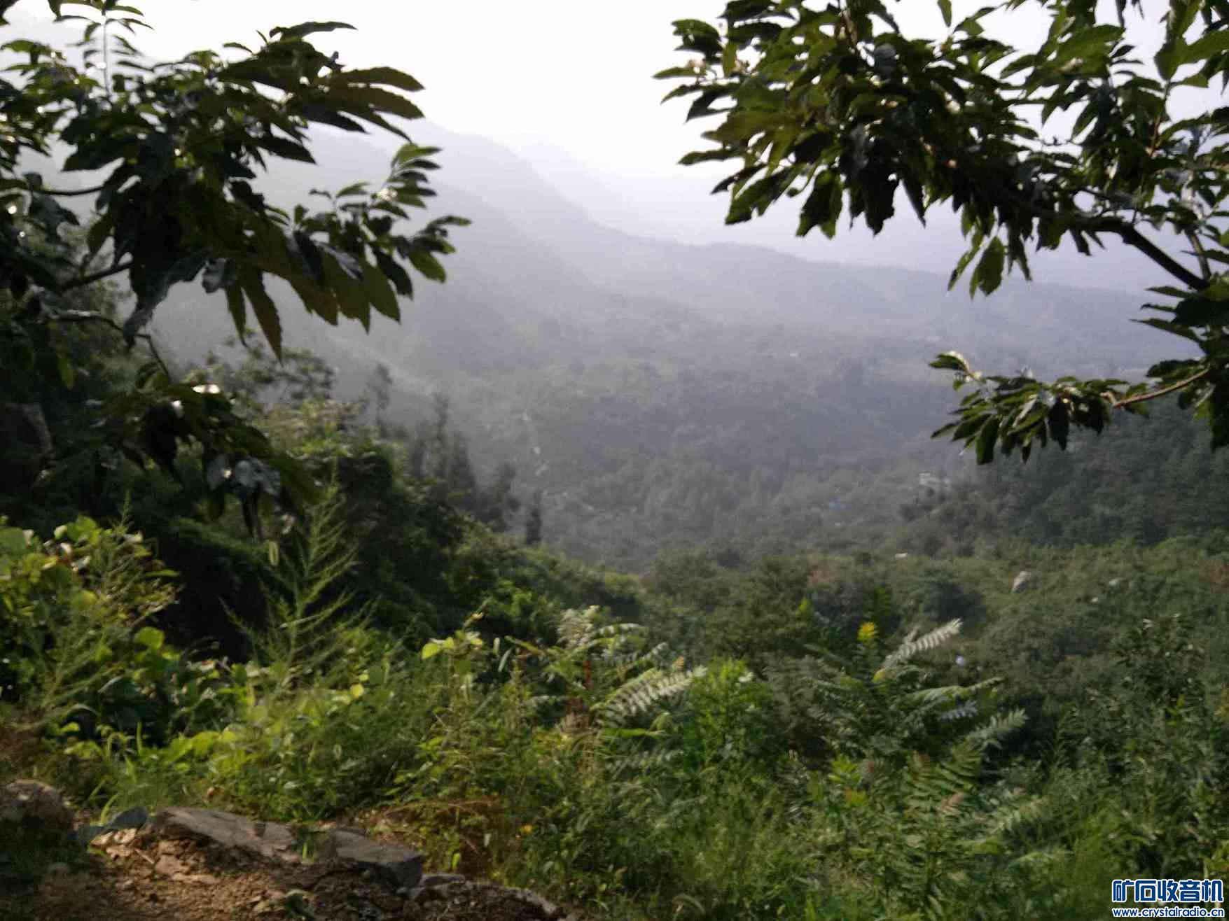 兴隆青松岭花市风景区掠影(多图手机党慎入)