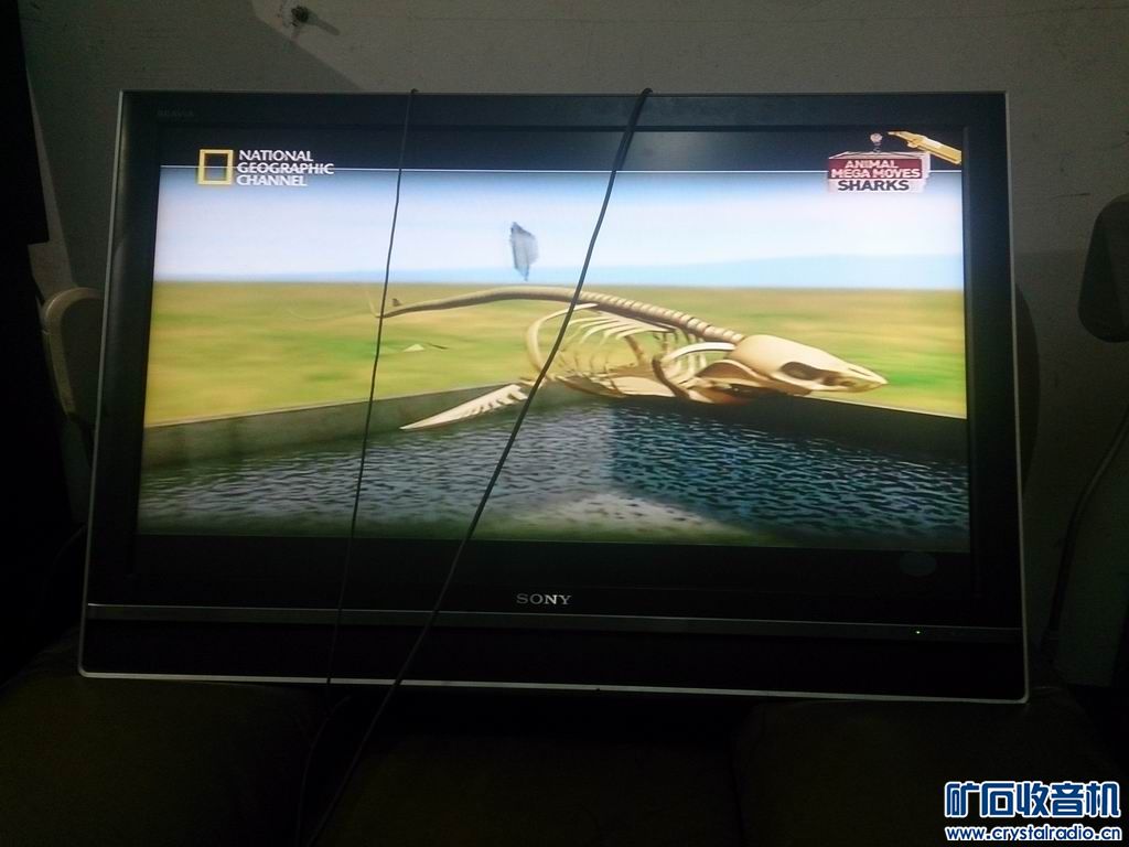 索尼 40寸 液晶电视 750元 IBM X60 260包快