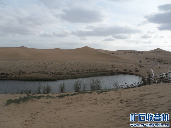 宁夏图片 - 〓生活聊天板块〓 - 矿石收音机论坛