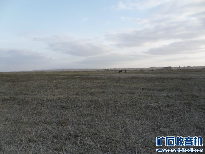 宁夏图片 - 〓生活聊天板块〓 - 矿石收音机论坛