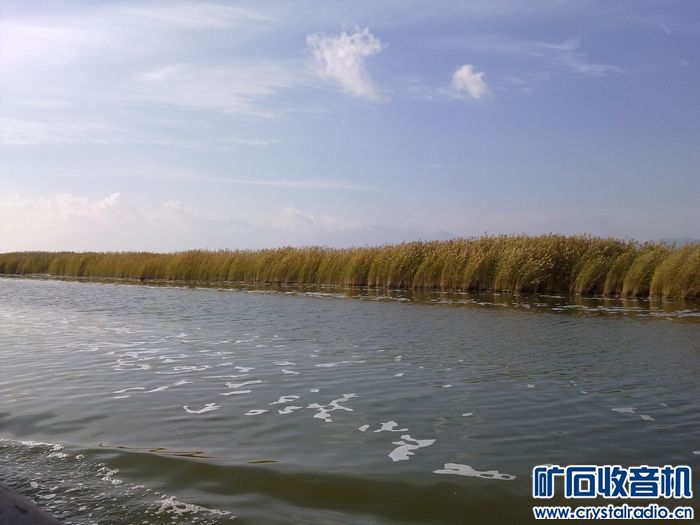 宁夏图片2 - 〓生活聊天板块〓 - 矿石收音机论