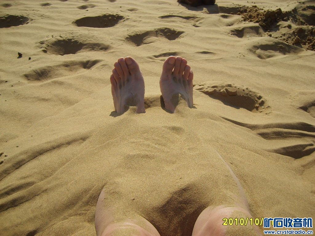 回忆沙漠探险 - 〓生活聊天板块〓 - 矿石收音机