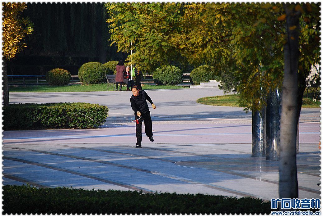 目前 我们这里流行【甩鞭子】 鞭子啪啪震天响! - 〓生活聊天板块〓 - 矿石收音机论坛