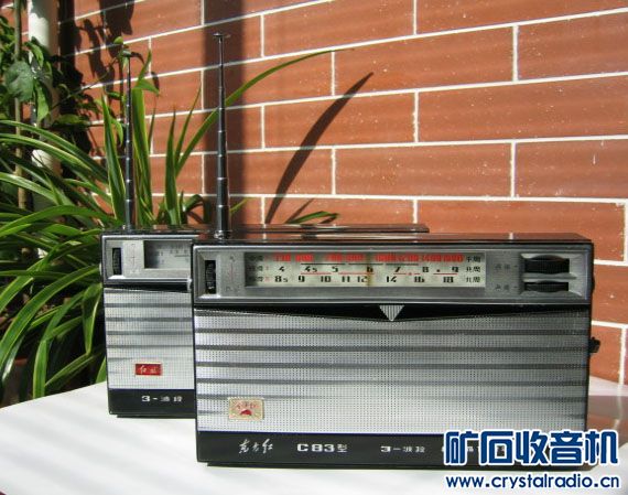 C83803 (9).JPG