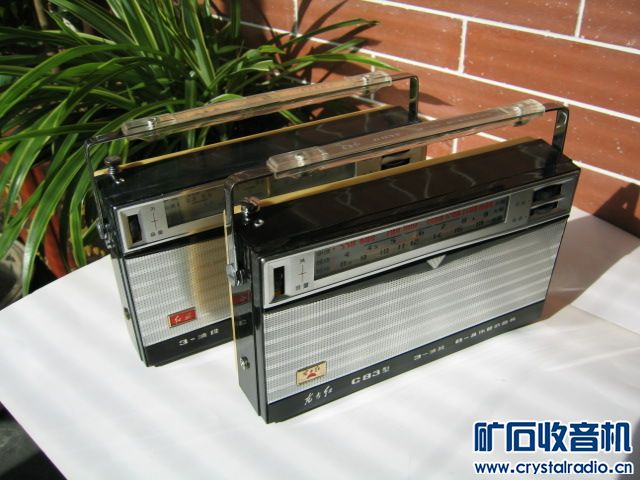 C83803 (7).JPG