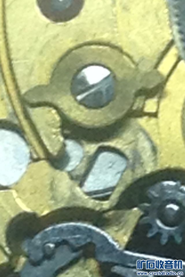 image.jpg