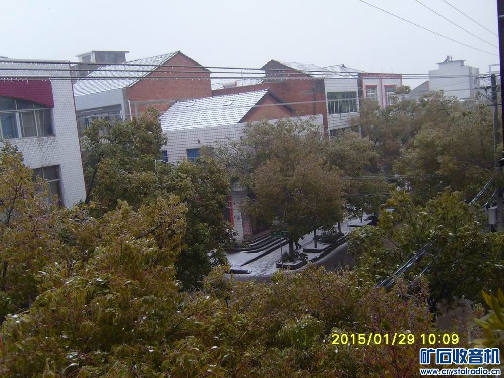 人工生态系统太脆弱了、停电、停水、老婆的电