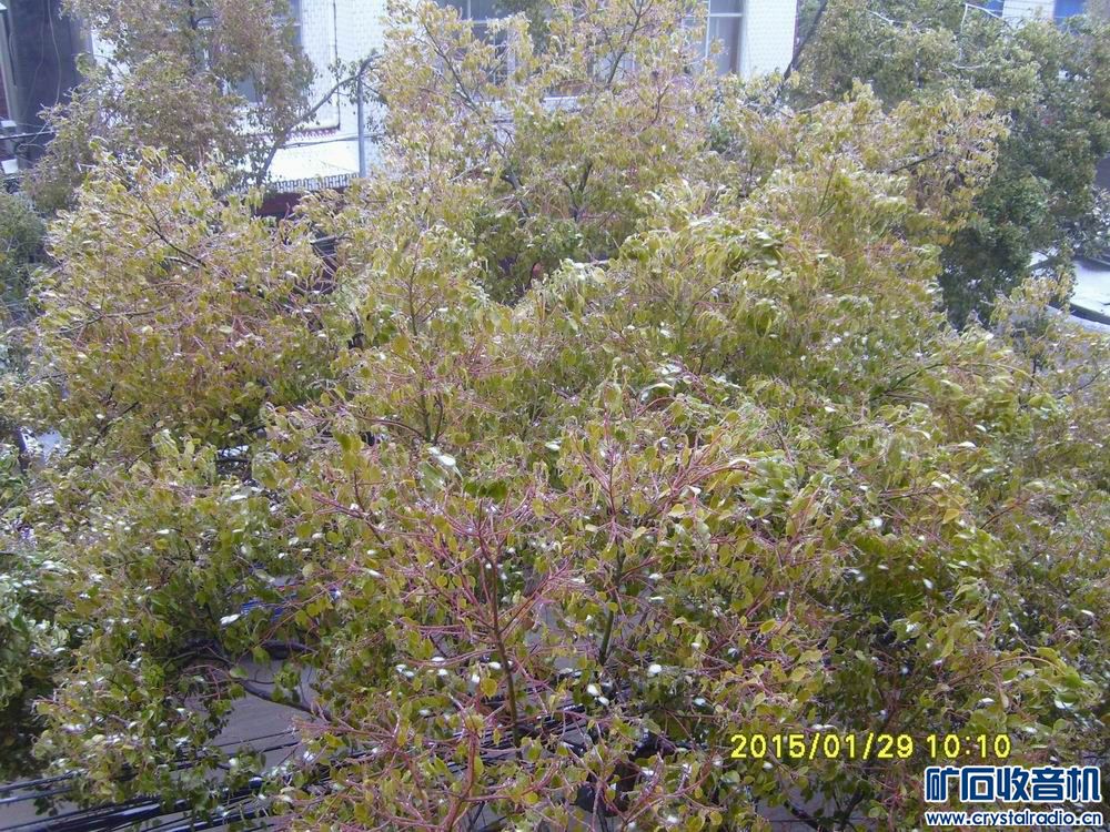 人工生态系统太脆弱了、停电、停水、老婆的电