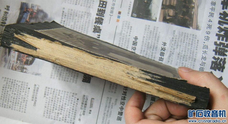 SANY8920.JPG