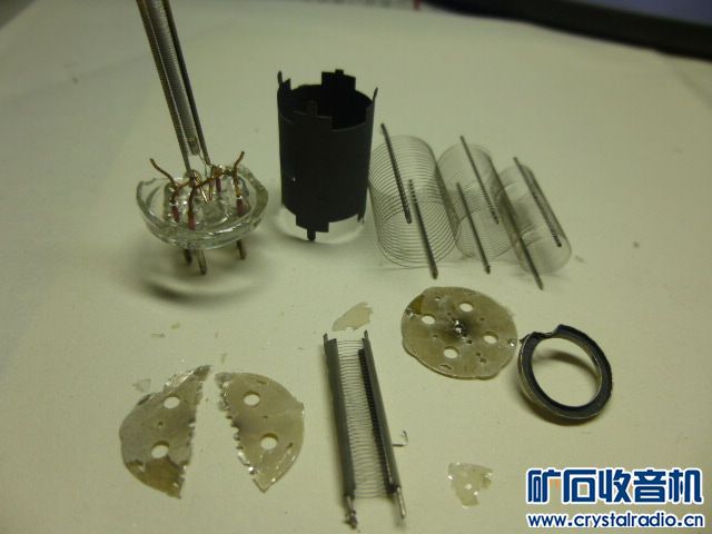 P1010127.JPG