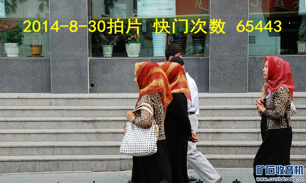 发现了秘密:快门次数到【65536】自动清零从